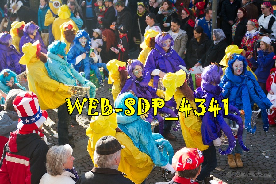 WEB SDP 4341