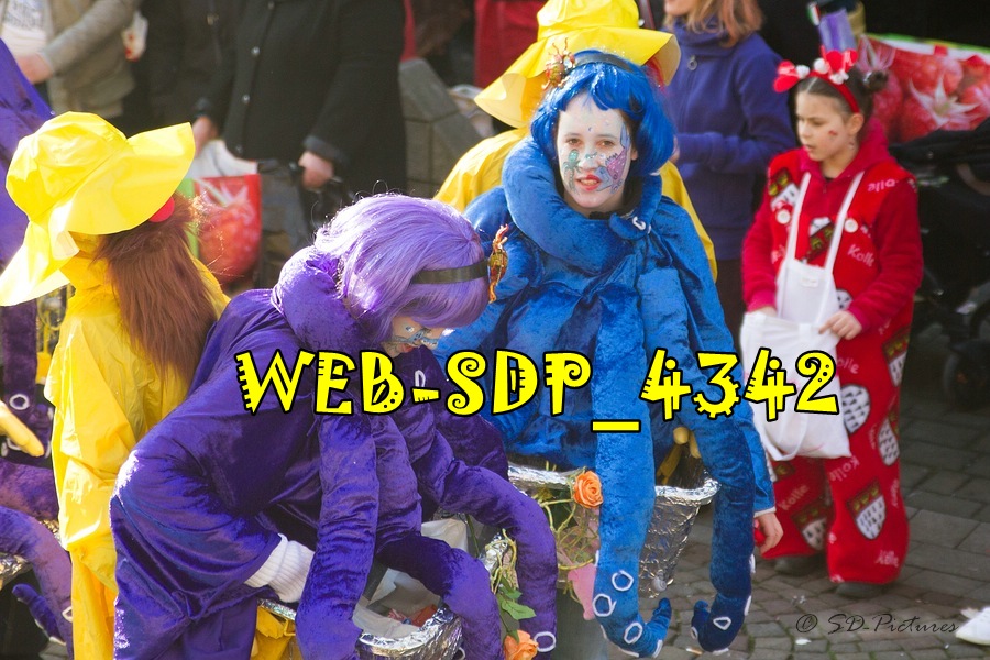 WEB SDP 4342