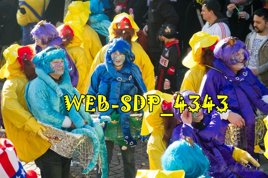 WEB SDP 4343