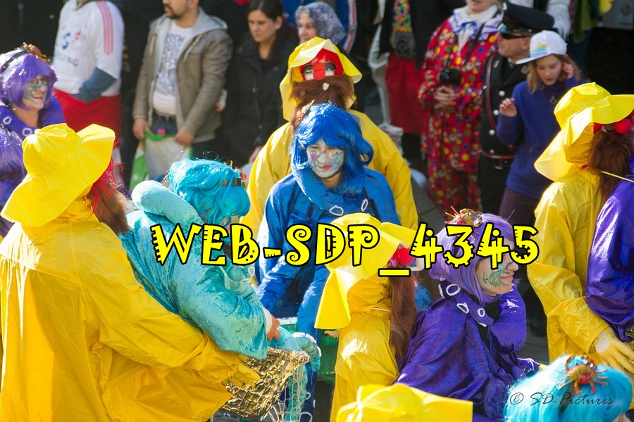 WEB SDP 4345
