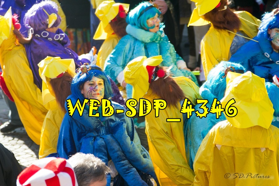 WEB SDP 4346
