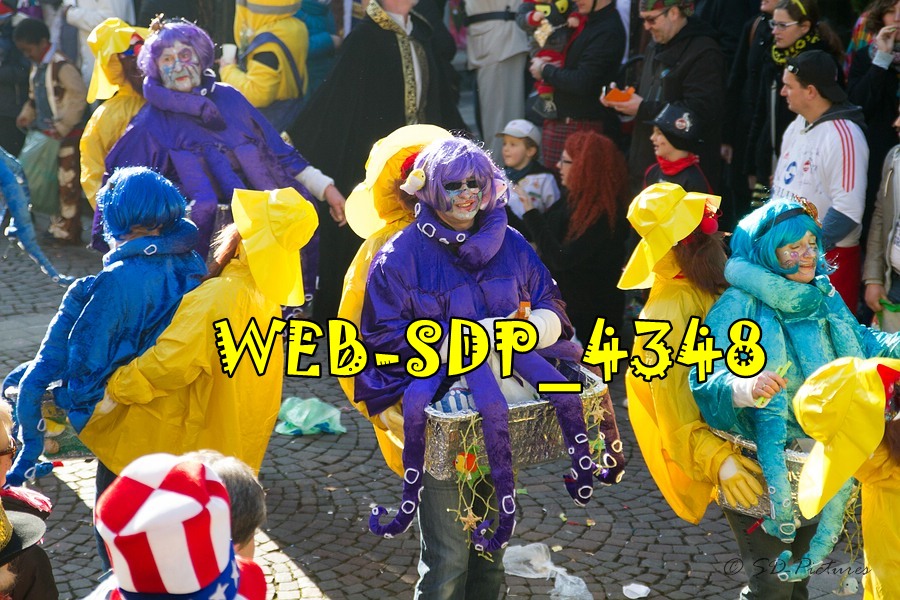 WEB SDP 4348