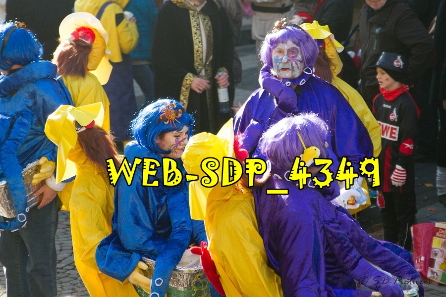 WEB SDP 4349