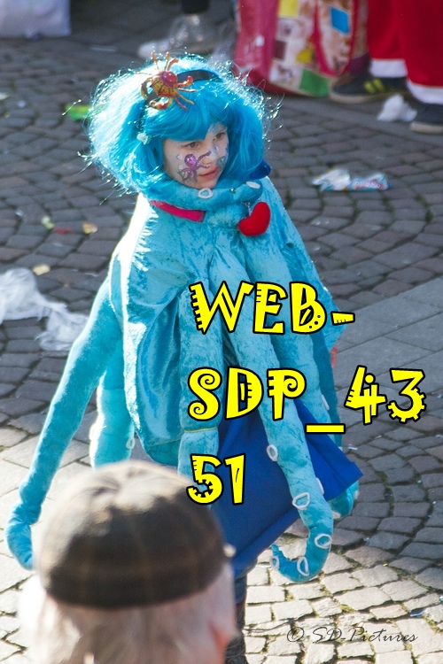 WEB SDP 4351