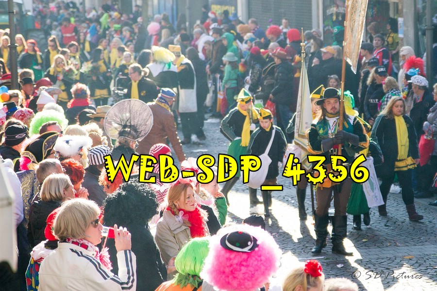 WEB SDP 4356