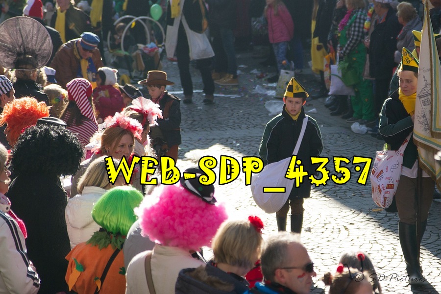 WEB SDP 4357