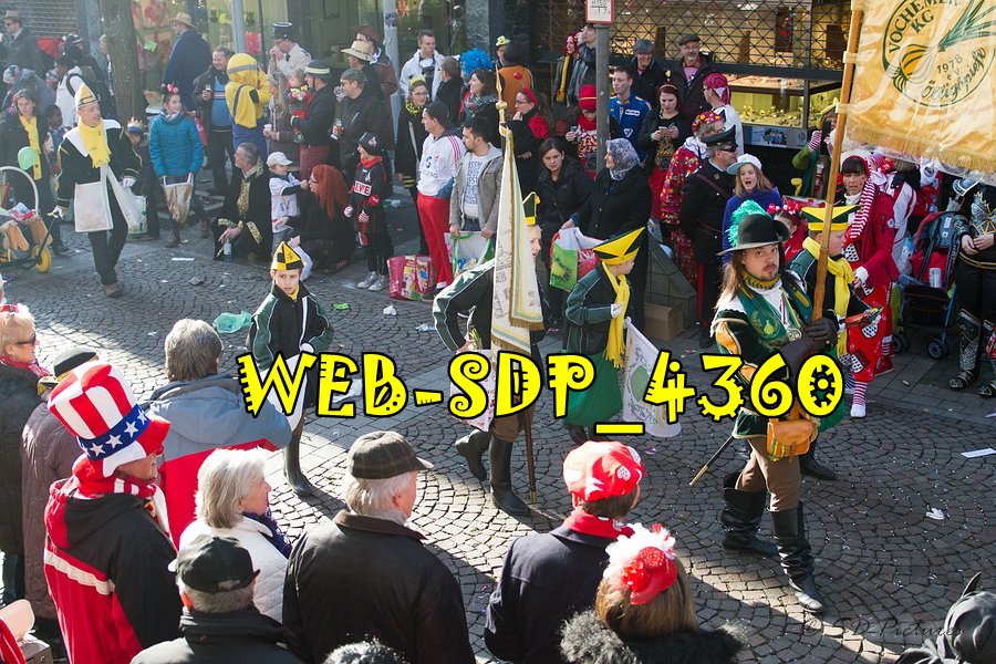 WEB SDP 4360