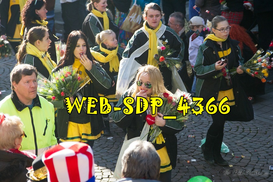 WEB SDP 4366