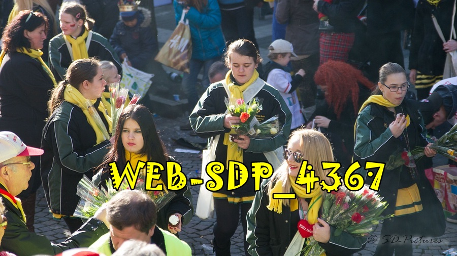 WEB SDP 4367