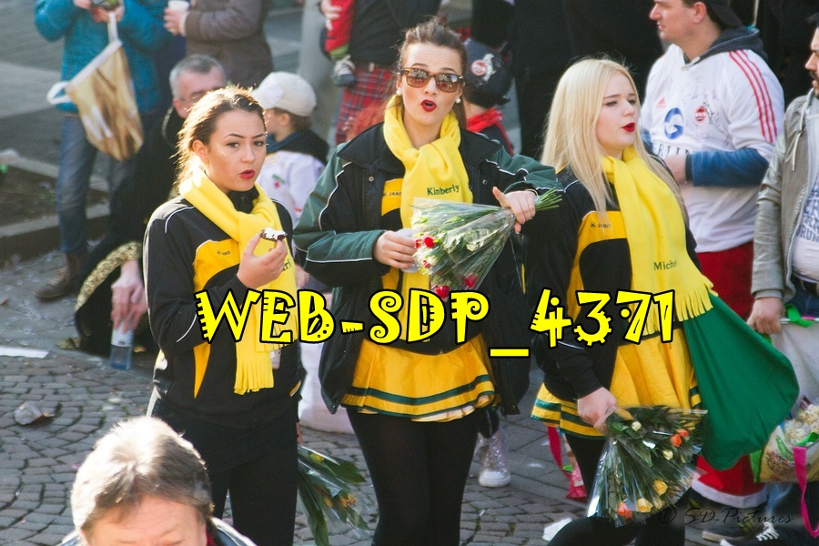 WEB SDP 4371