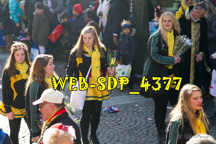 WEB SDP 4377
