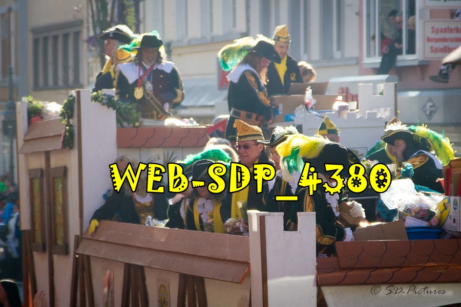 WEB SDP 4380