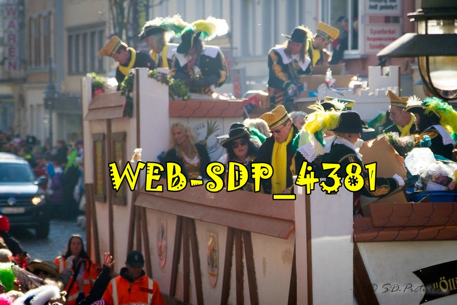 WEB SDP 4381