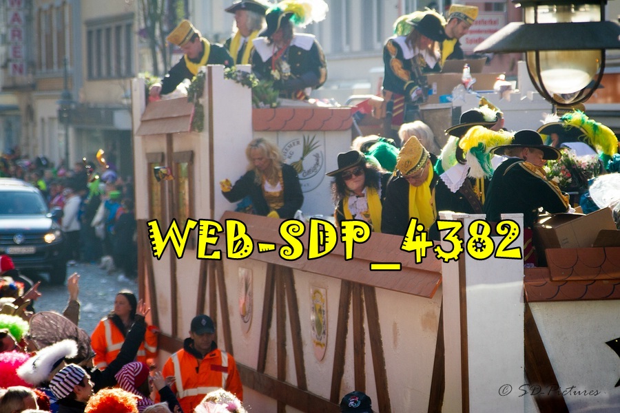 WEB SDP 4382
