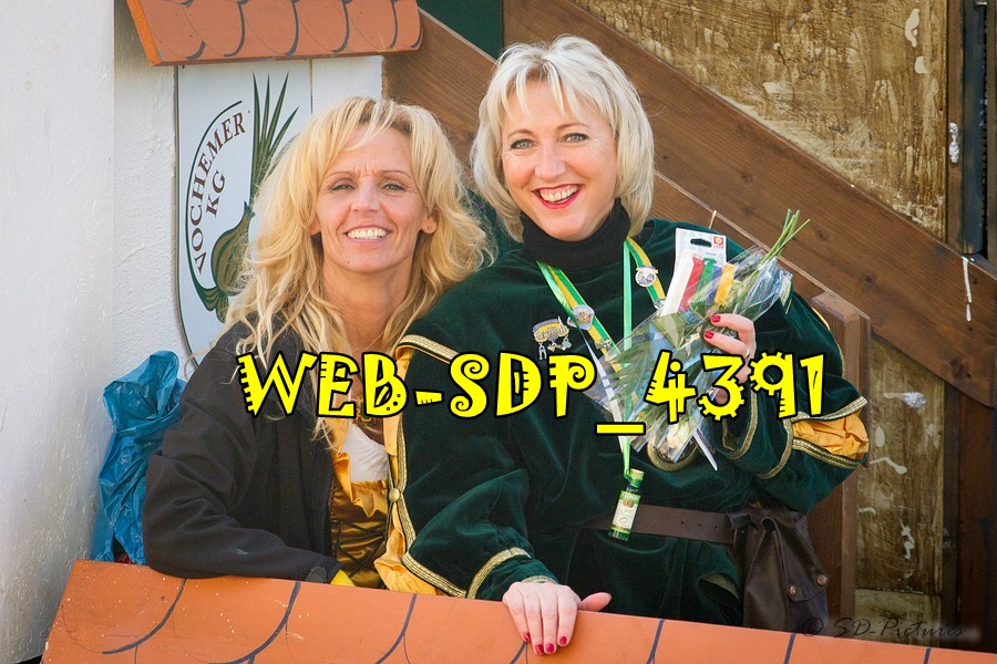 WEB SDP 4391