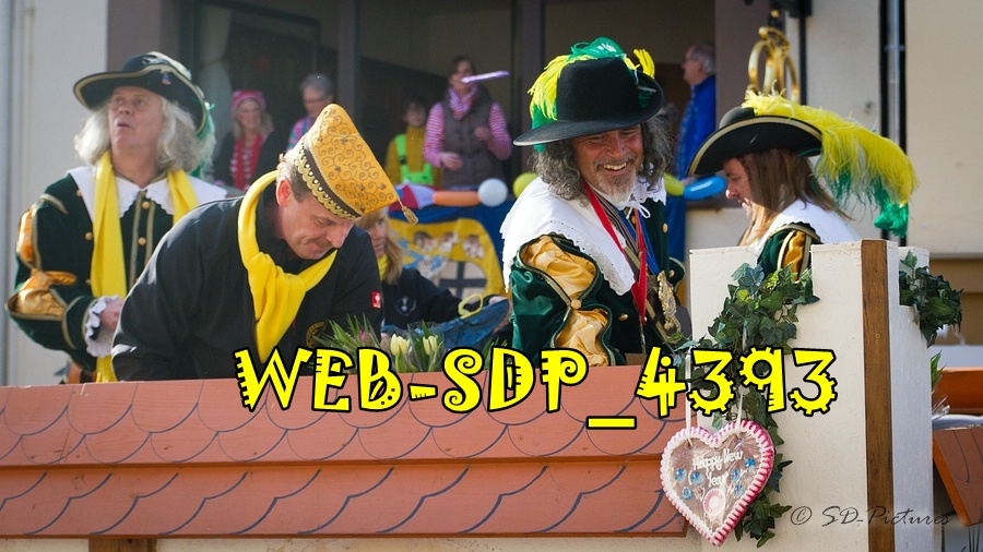 WEB SDP 4393