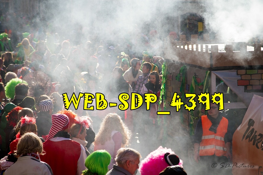 WEB SDP 4399