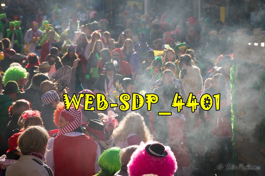 WEB SDP 4401