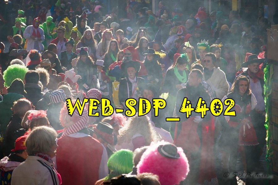 WEB SDP 4402