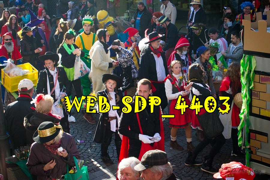 WEB SDP 4403