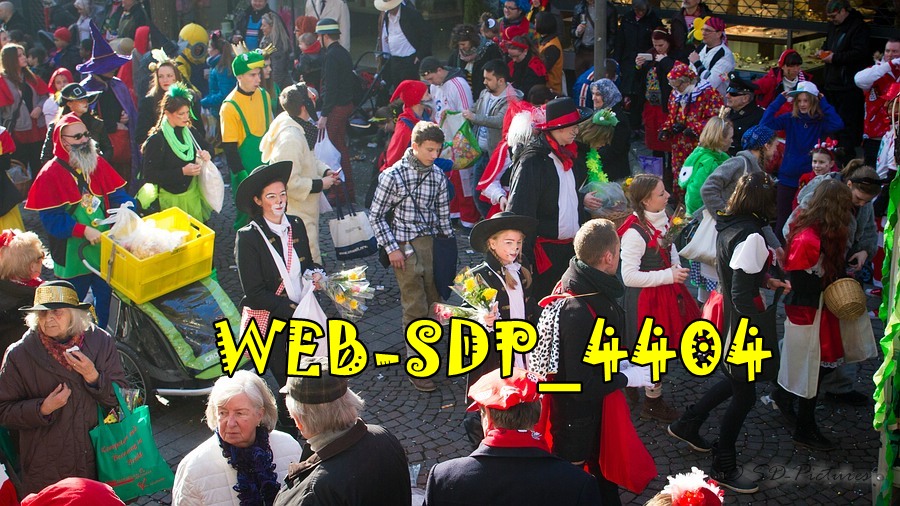 WEB SDP 4404