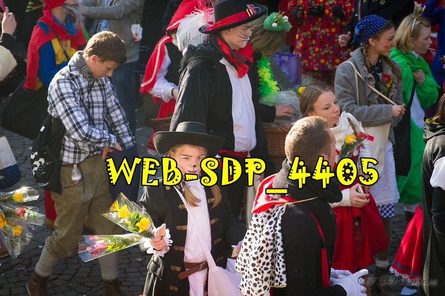 WEB SDP 4405