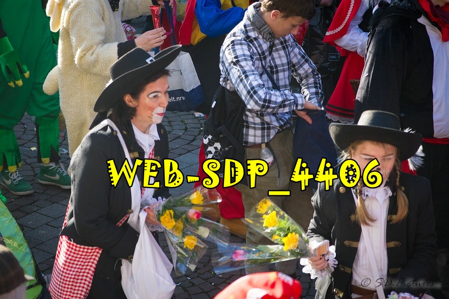 WEB SDP 4406