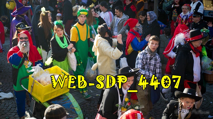 WEB SDP 4407