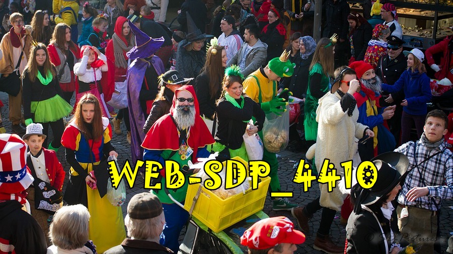 WEB SDP 4410
