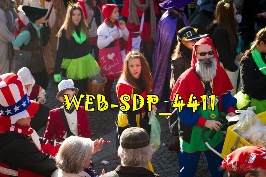 WEB SDP 4411
