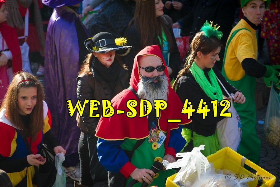 WEB SDP 4412