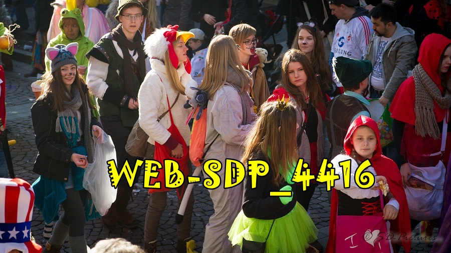 WEB SDP 4416