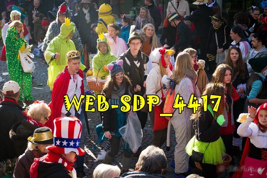 WEB SDP 4417