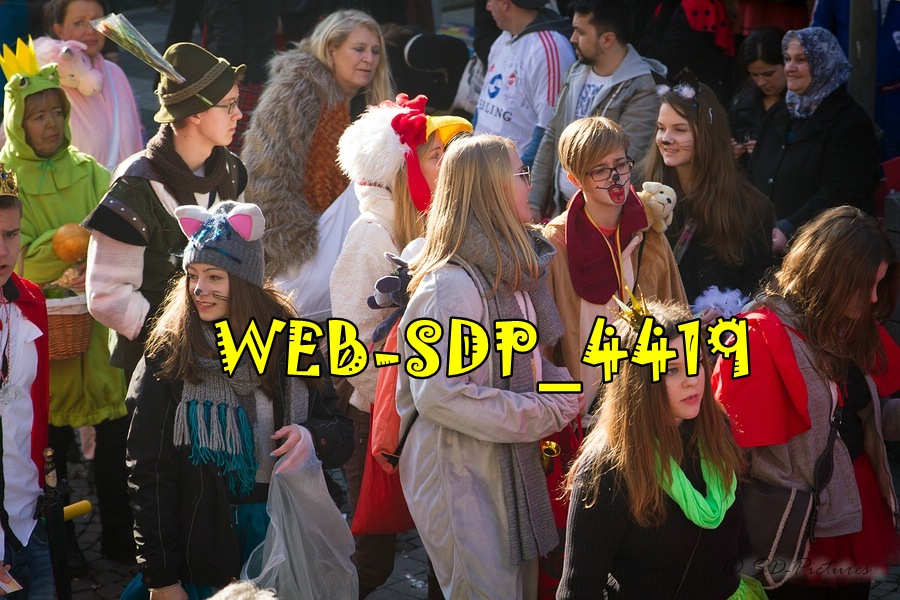 WEB SDP 4419