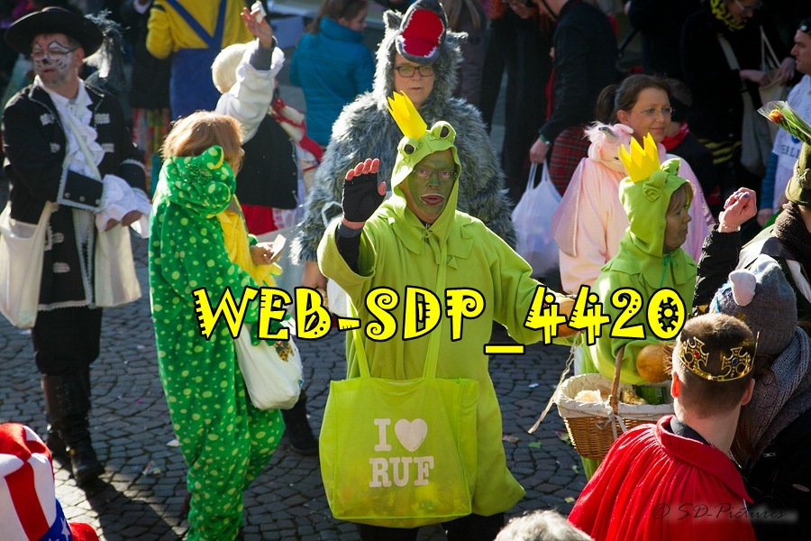 WEB SDP 4420