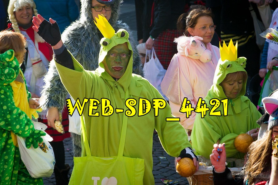 WEB SDP 4421