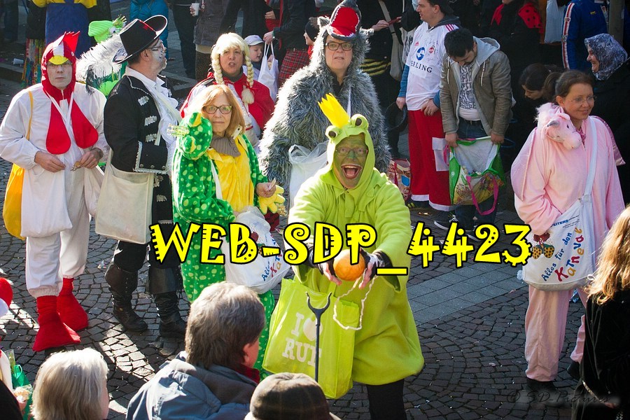 WEB SDP 4423