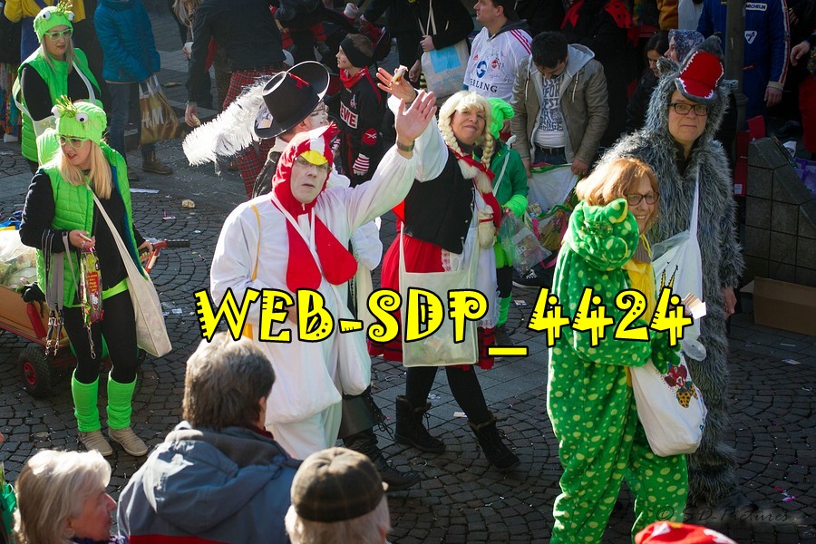 WEB SDP 4424