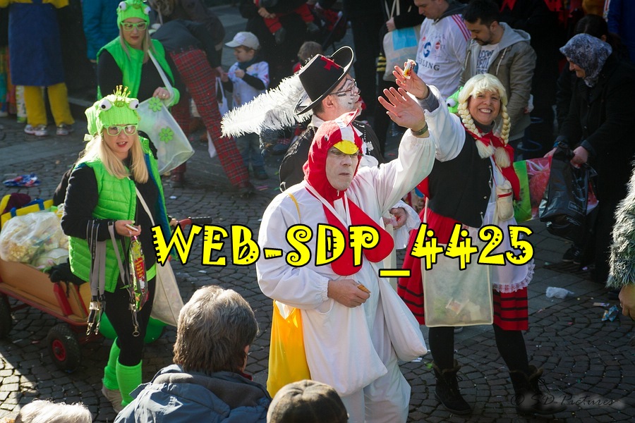 WEB SDP 4425
