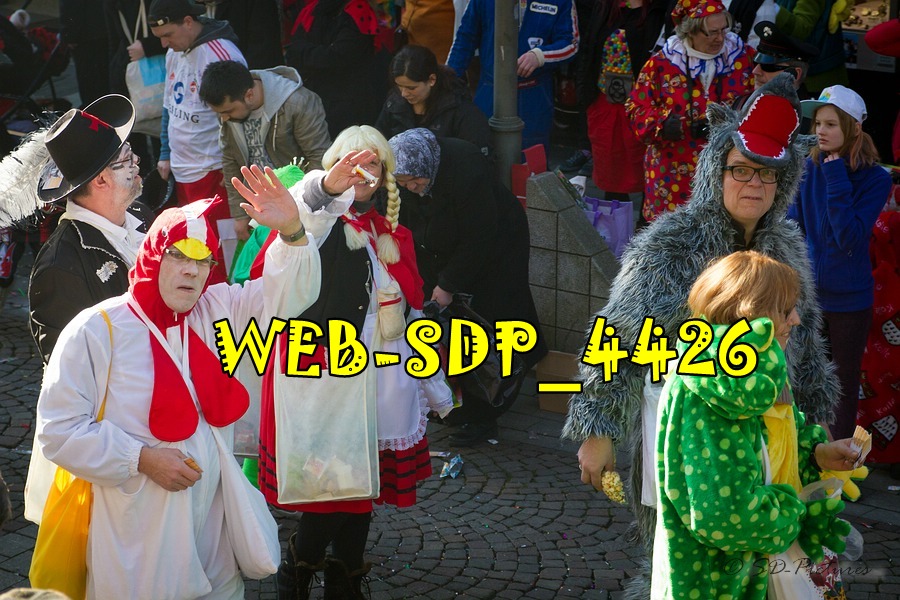 WEB SDP 4426