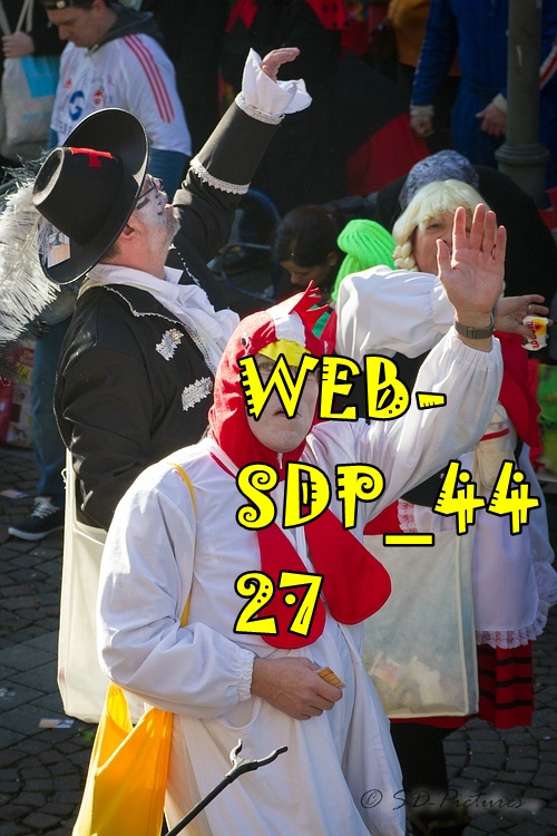 WEB SDP 4427