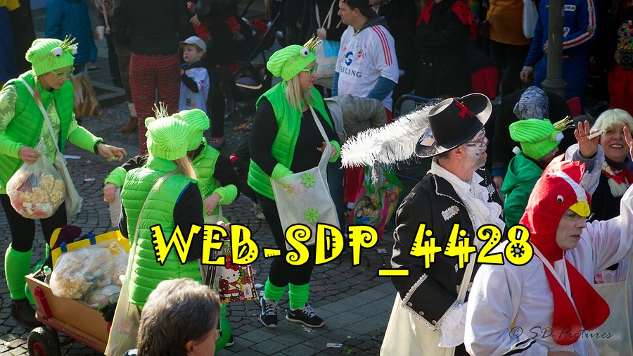 WEB SDP 4428