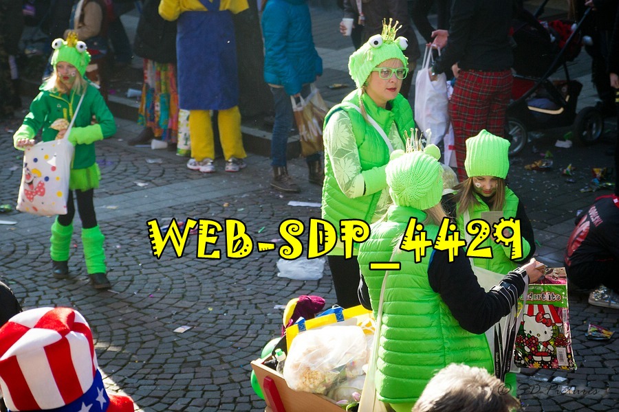 WEB SDP 4429