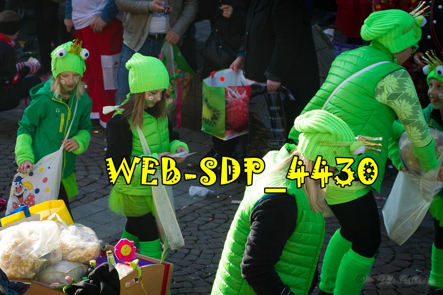 WEB SDP 4430
