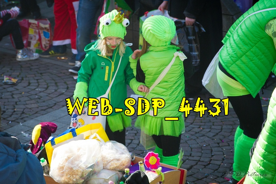 WEB SDP 4431