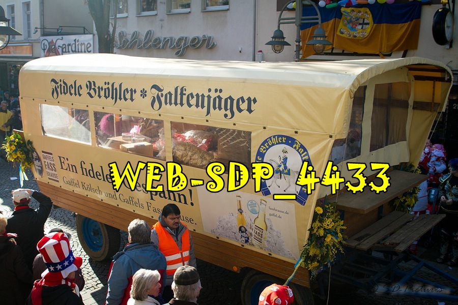 WEB SDP 4433