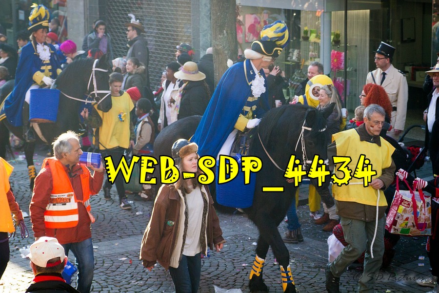 WEB SDP 4434