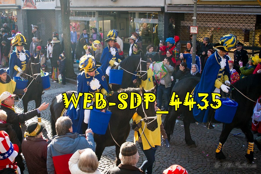 WEB SDP 4435