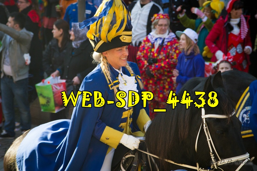 WEB SDP 4438