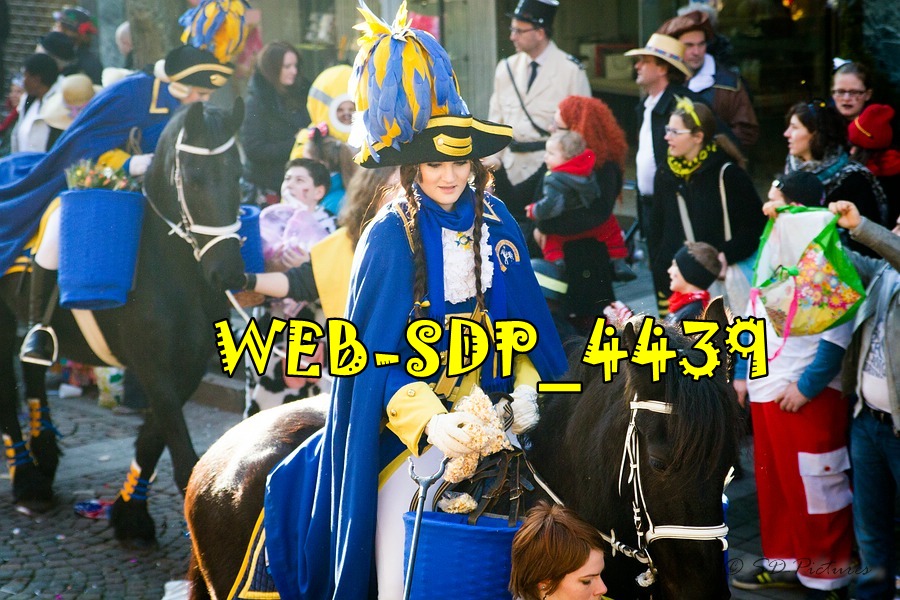 WEB SDP 4439